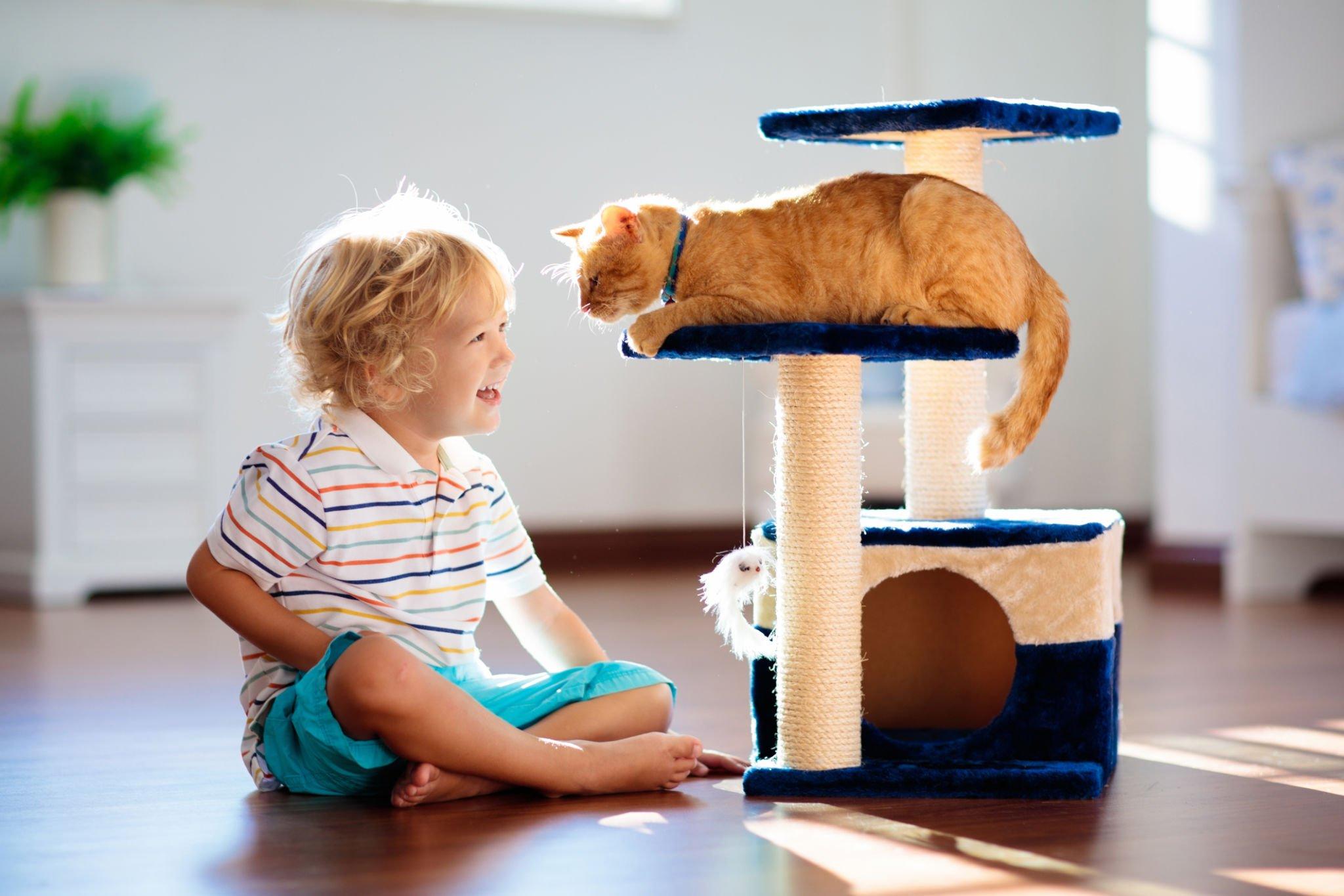 child friendly cats