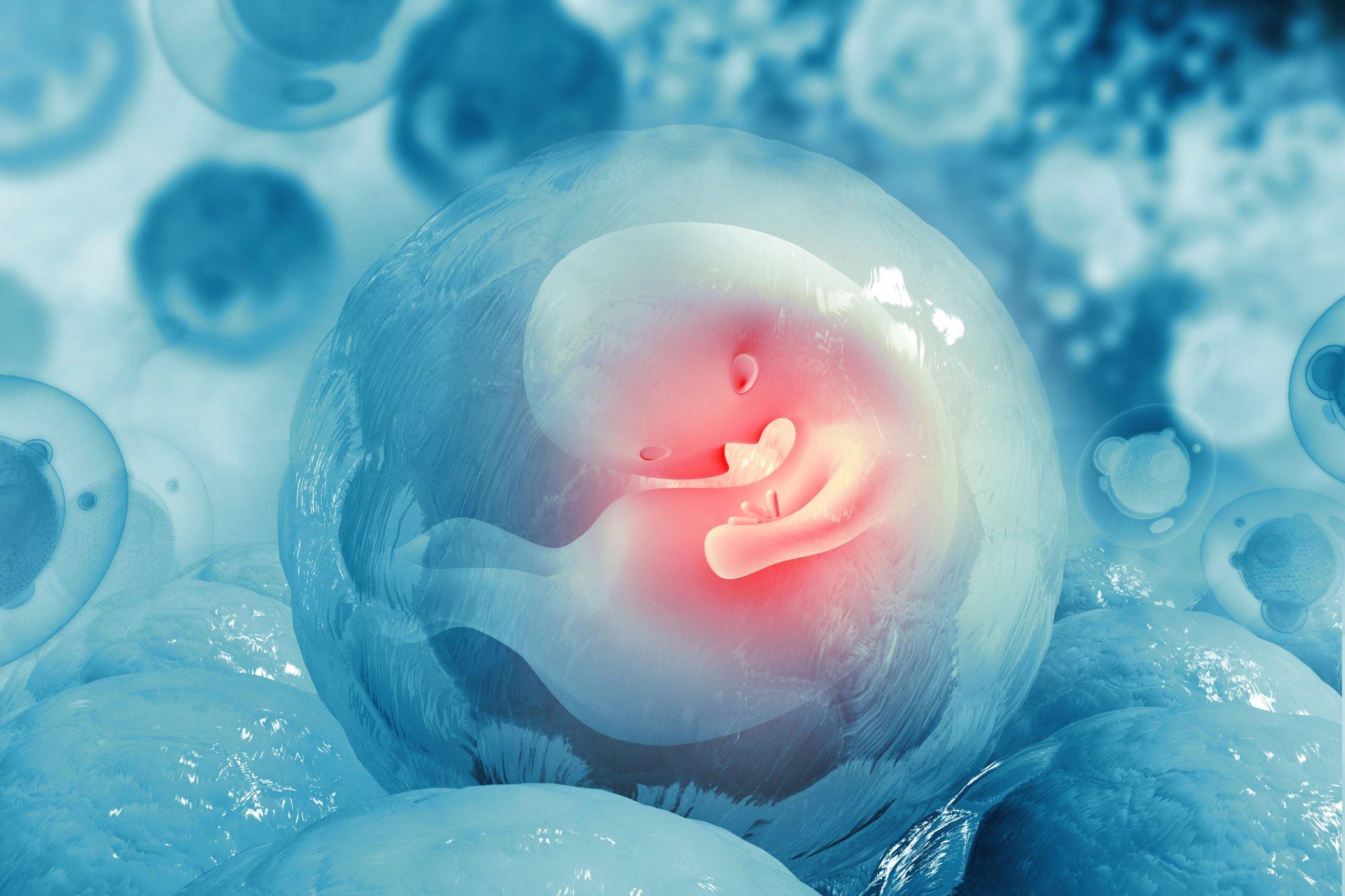 frozen embryo transfer treatment