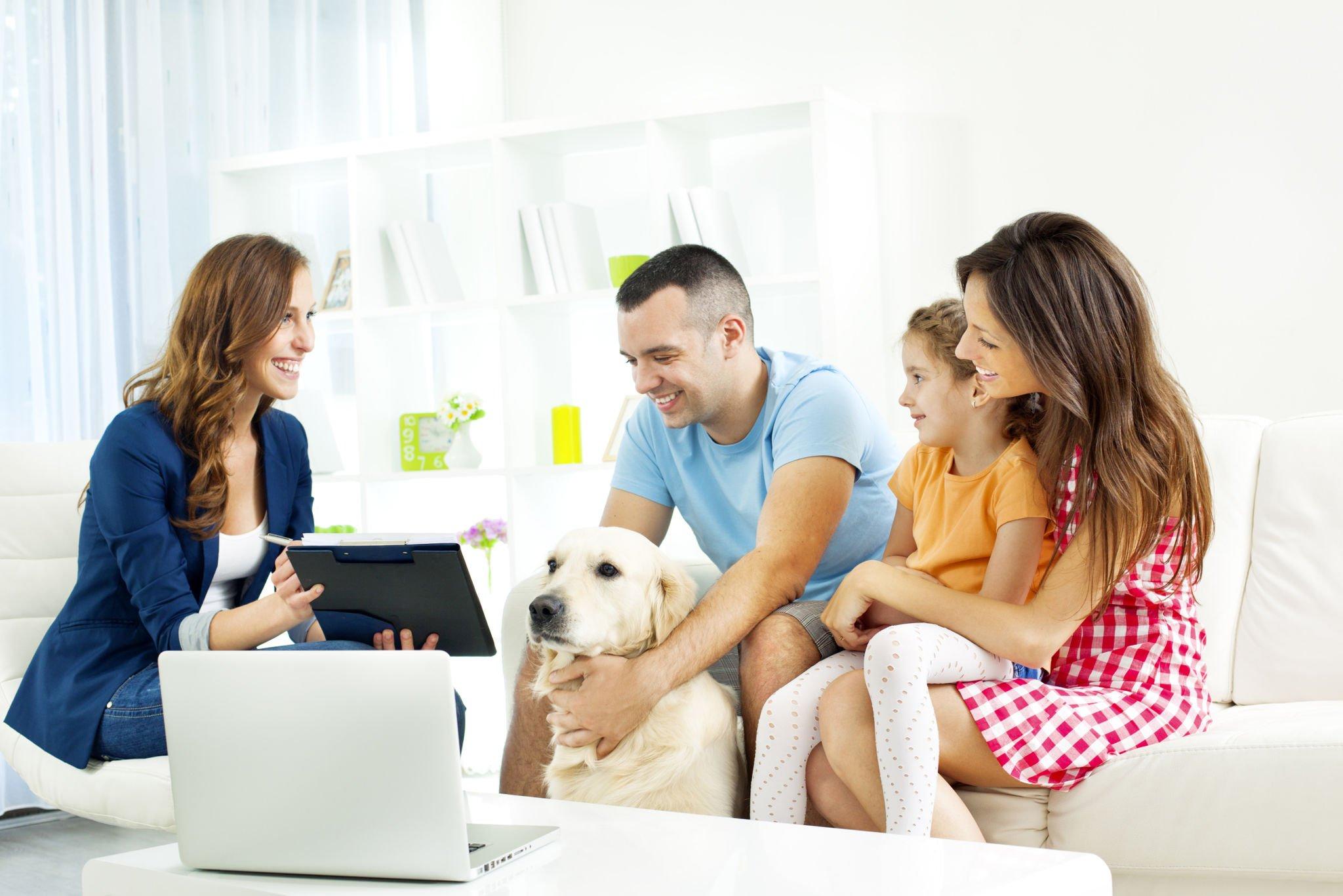 Family pet Insurance Critiques – Will be Cheap Family Pet Insurance the most effective?