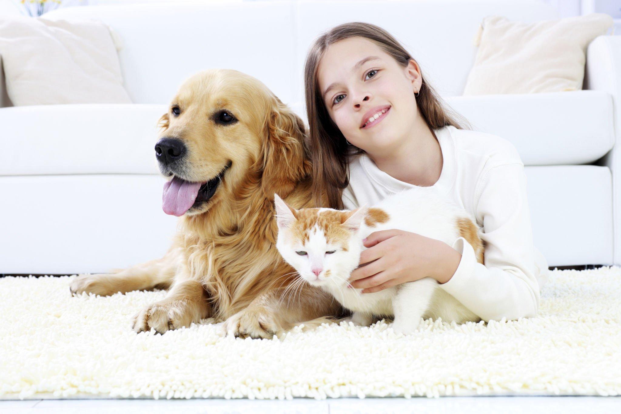 Top 6 child friendly cats